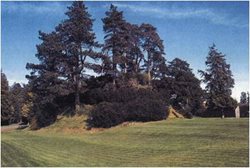 Motte-3.jpg Motte-3.jpg