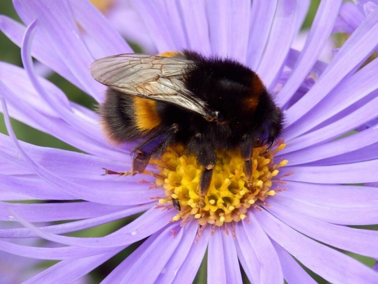 Environmental Education Programme