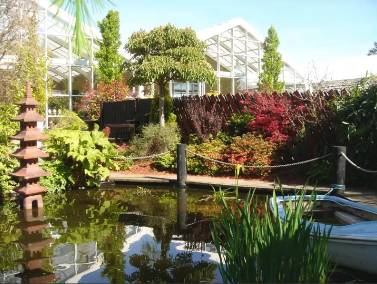 Hillside Nursey Centre 