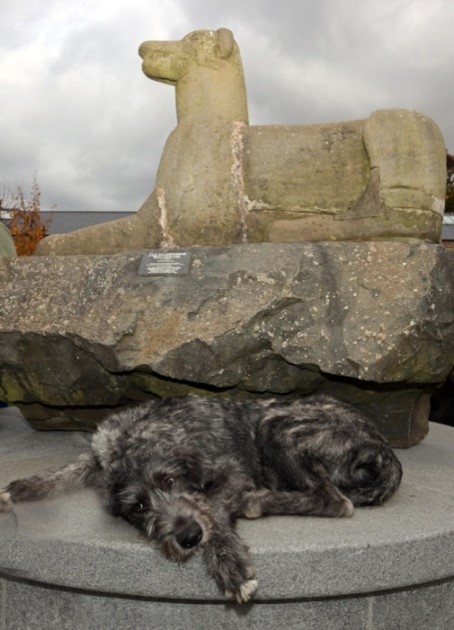 Lady Marian and the Wolfhound