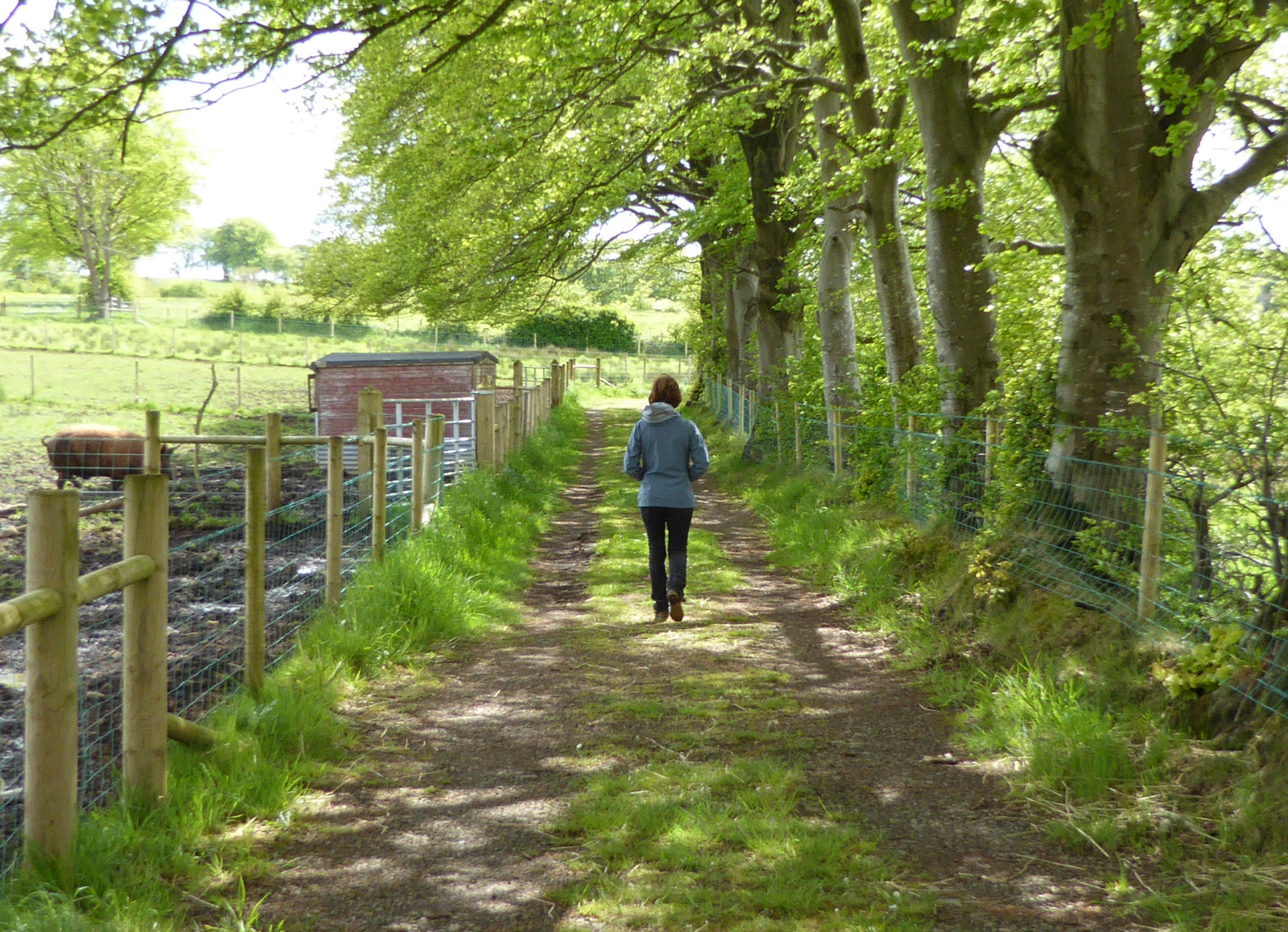 Ballylagan Organic Farm