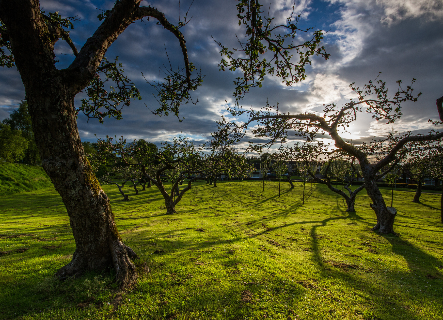 Gardens and Parks Visit Antrim & Newtownabbey